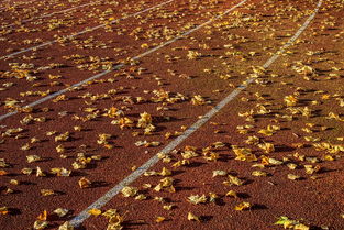 爱游戏体育入口-体育新闻中心今日热点聚焦，体育新闻f1